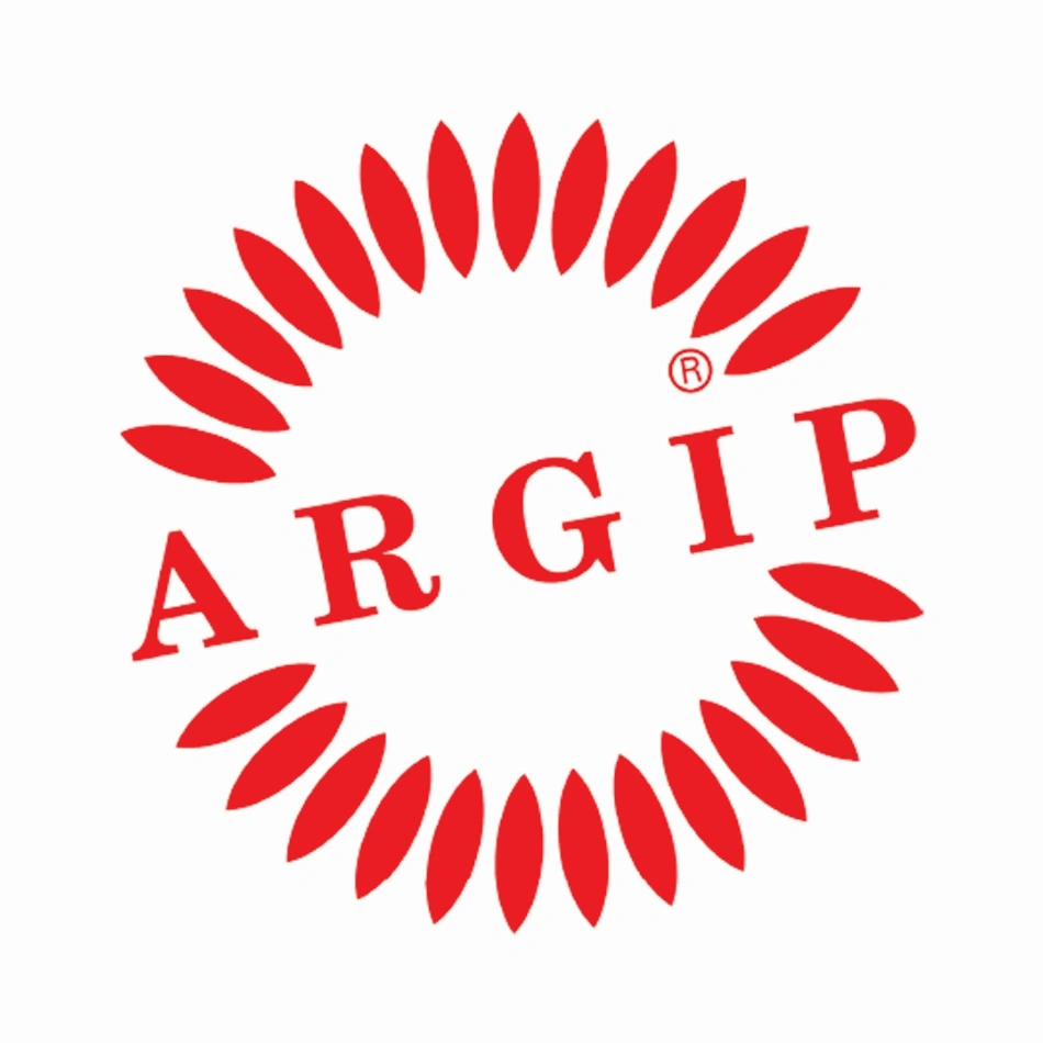 Podkładka ARGIP NORD LOCK M24 AN133 ZN