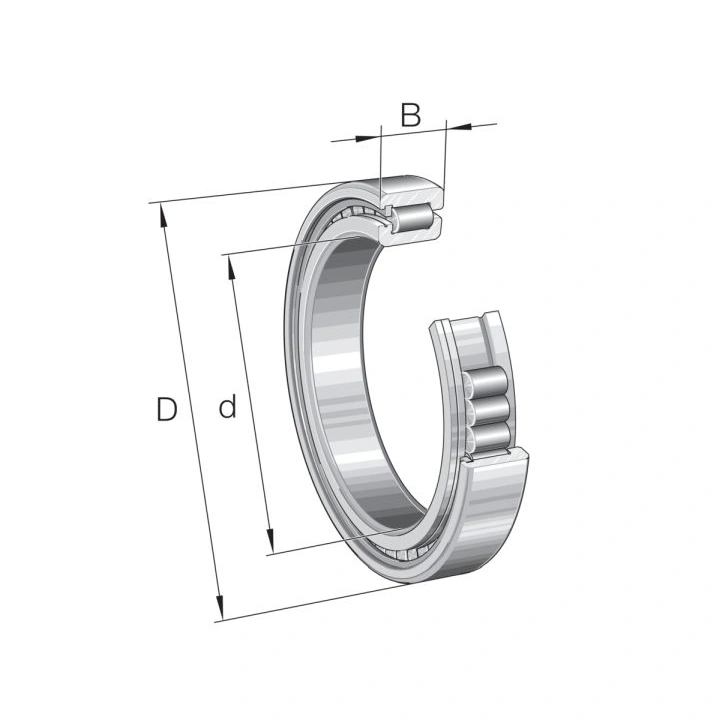 Łożysko walcowe INA ELGES SL183010-A-XL 50x80x23